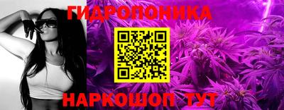 ешки Абакан