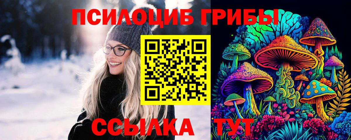 Галлюциногенные грибы Magic Shrooms  Вход с VPN  Галлюциногенные грибы ЛСД  Алейск 
